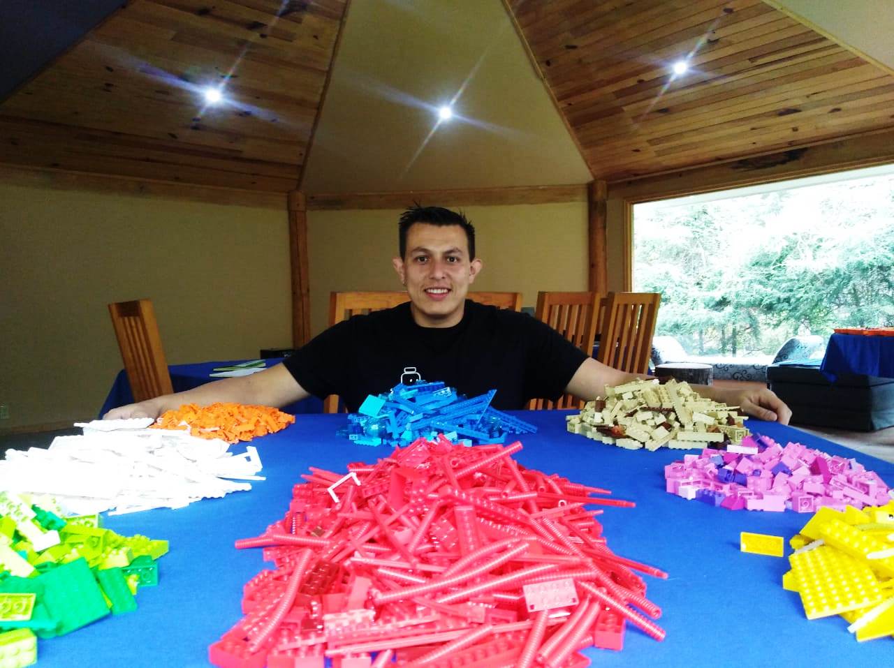 CAMARENA_Lego_Serious_Play